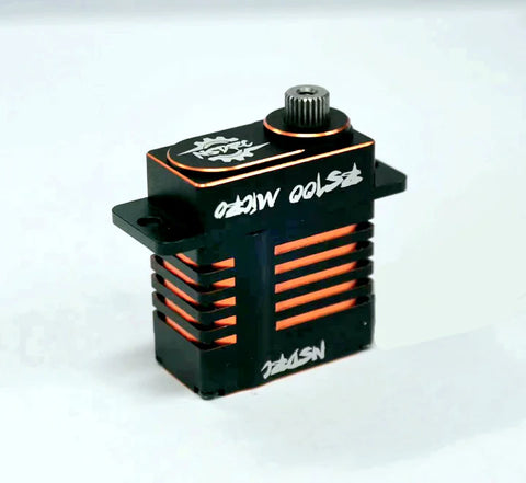 SPECIAL EDITION RS100 SERVO & HORN