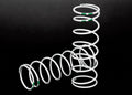 Spring, shock, white (GTR xx-long) (0.762 rate green) (1 pair)