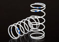 1/10 XX-Long GTR Springs (1.004-Rate Blue Stripe) (2)